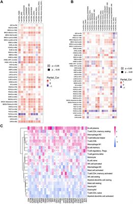 FAM46C as a Potential Marker for Pan-Cancer Prognosis and Predicting Immunotherapeutic Efficacy